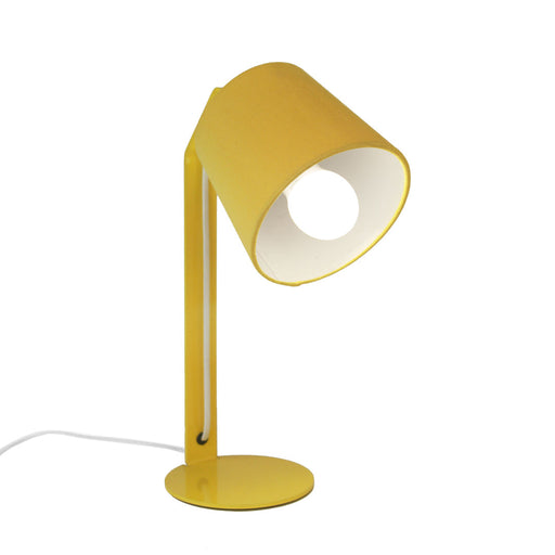 Einstein Desk Lamp-Lamps-Little Whitehouse