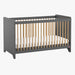 Leaf Graphite Cot, Compactum & Changer Bundle